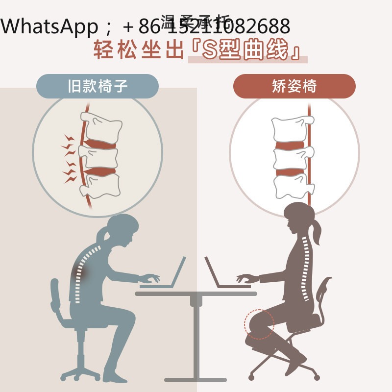 LLY 사무용 의자, 인체공학적 디자인, 무릎을 꿇고  - Office Chair 리뷰 및 가격
